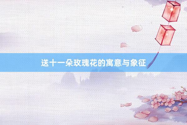 送十一朵玫瑰花的寓意与象征